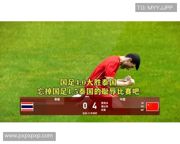马来西亚与泰国足球赛精彩对决结果揭晓引发热议